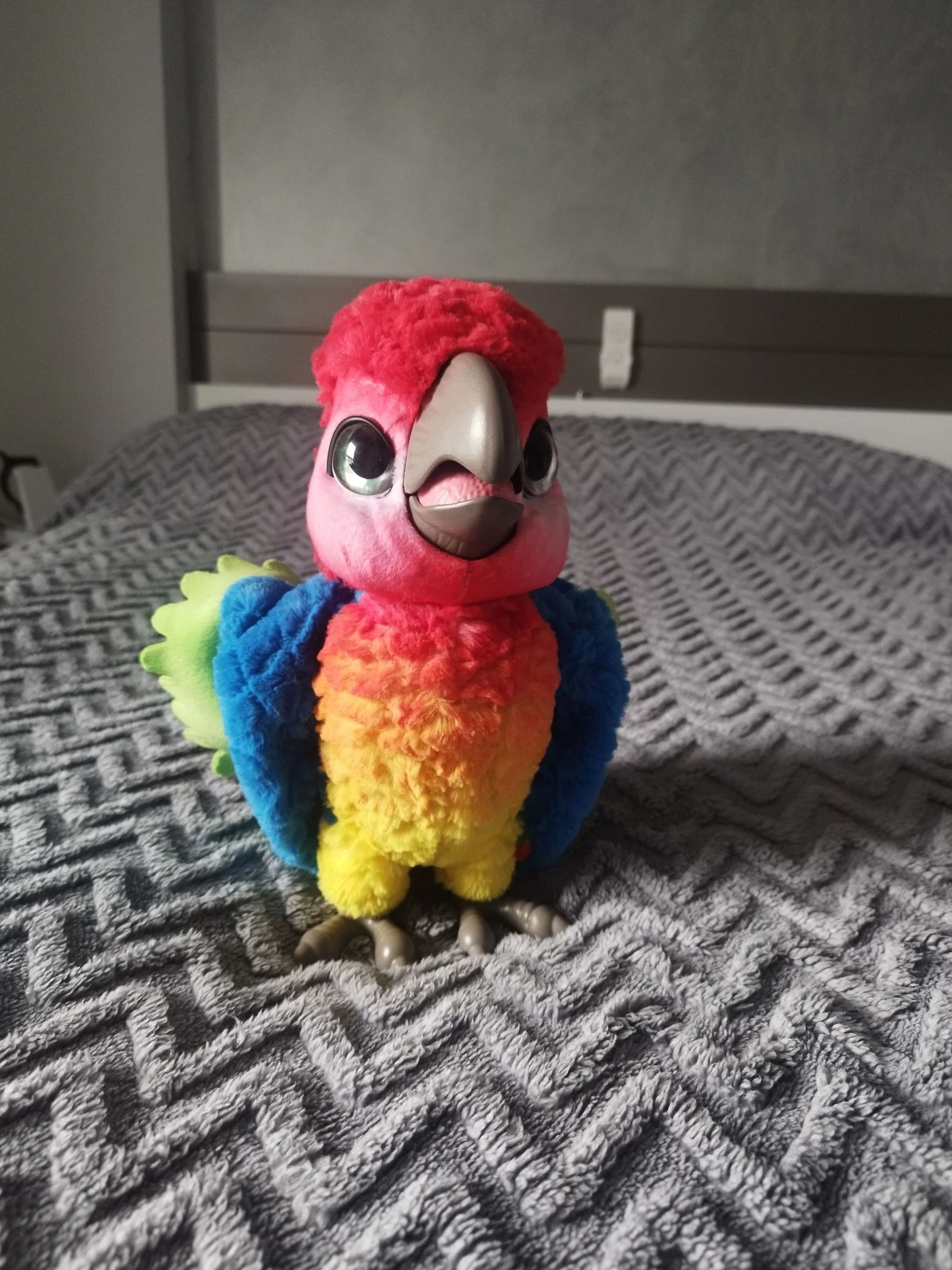 Lolo mi loro molón – photo 2